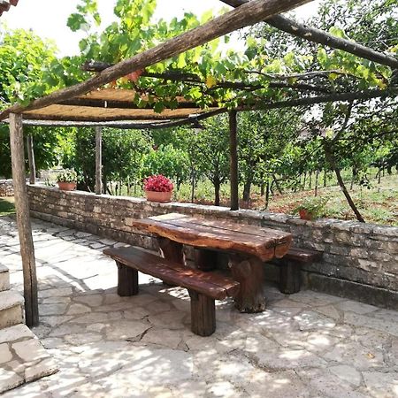 Holiday Home Maria Pazin Exterior foto